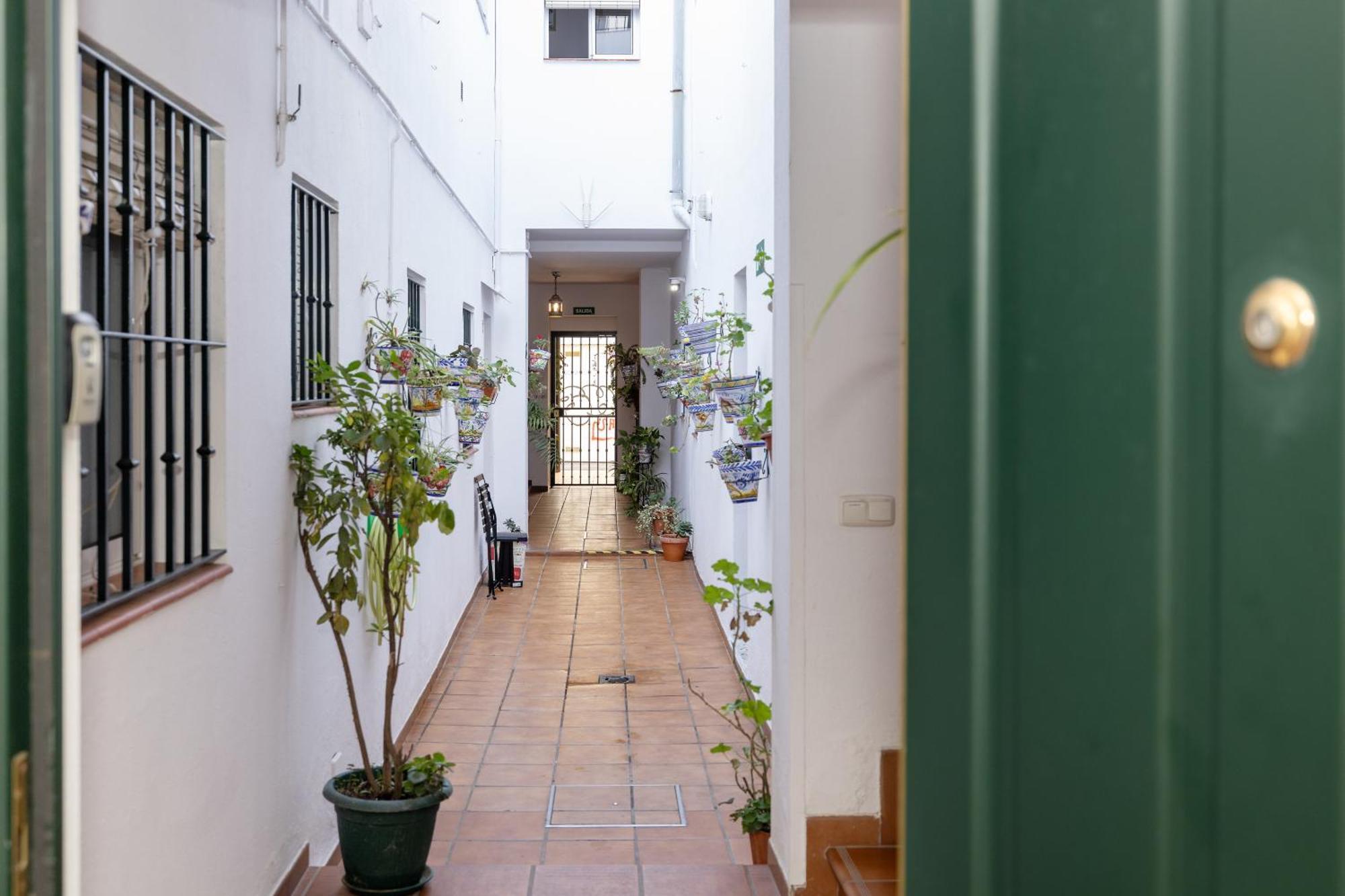 Apartamentos Trianasol Севілья Екстер'єр фото