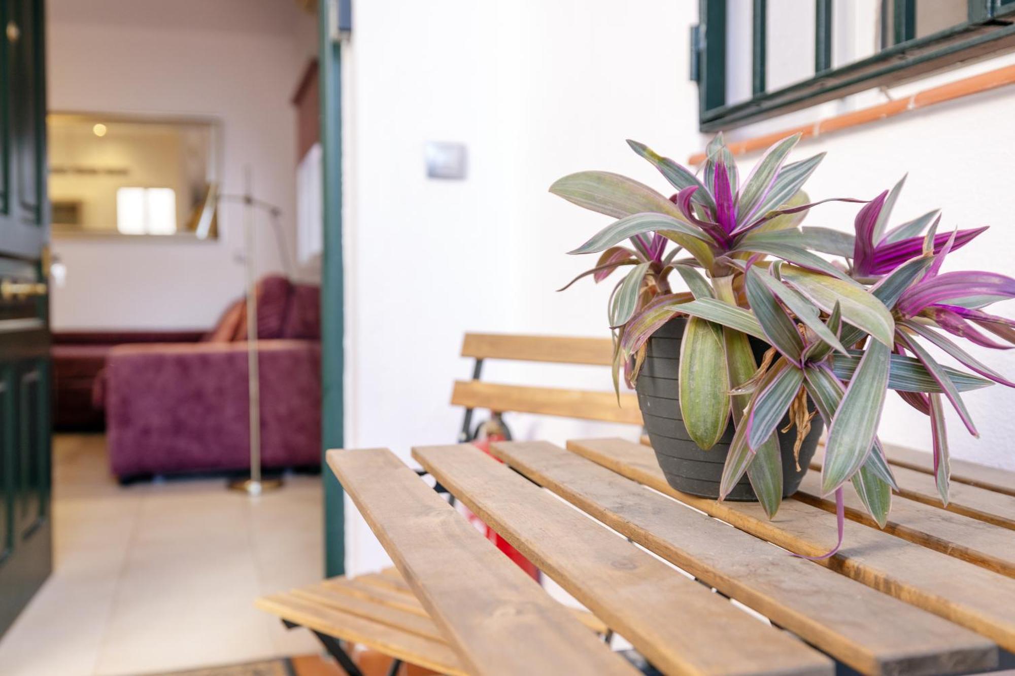 Apartamentos Trianasol Севілья Екстер'єр фото